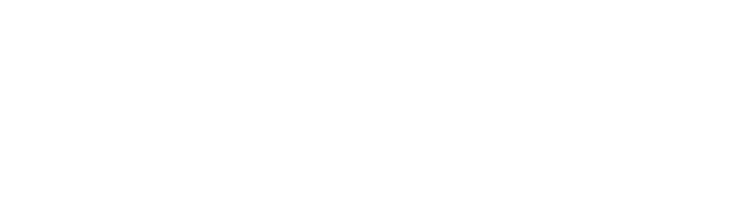 Main Logo